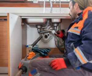 About Emergency plumbing pros Lynco, WV